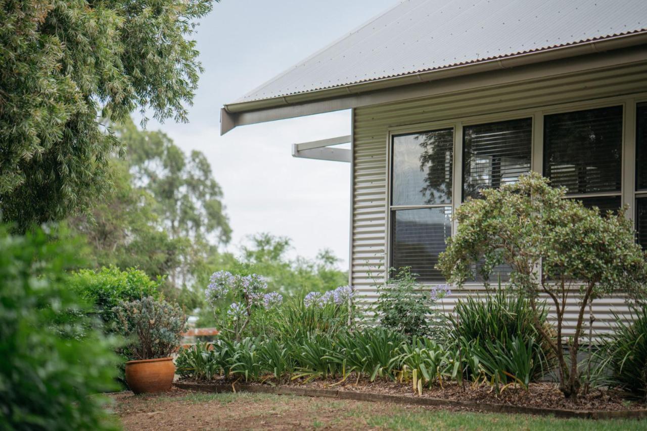 Elfin Hill Vineyard Accommodation Pokolbin Bagian luar foto
