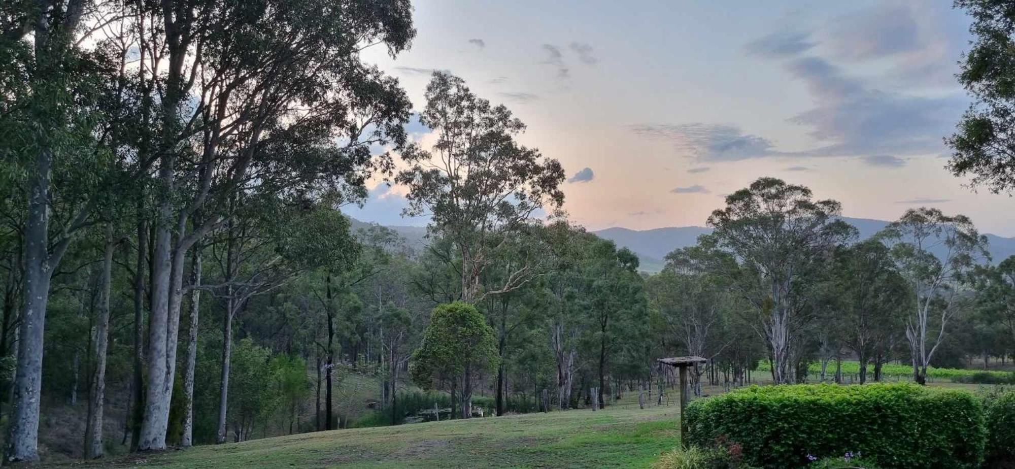Elfin Hill Vineyard Accommodation Pokolbin Bagian luar foto