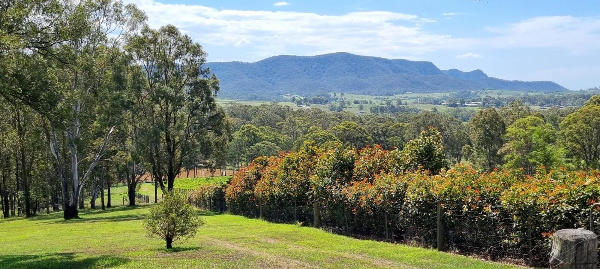 Elfin Hill Vineyard Accommodation Pokolbin Bagian luar foto