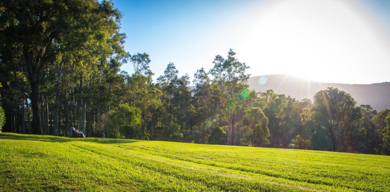Elfin Hill Vineyard Accommodation Pokolbin Bagian luar foto