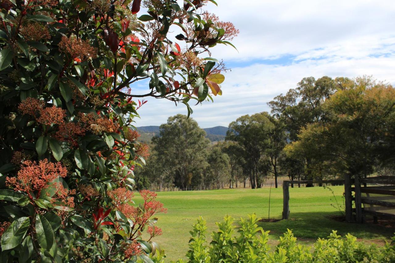 Elfin Hill Vineyard Accommodation Pokolbin Bagian luar foto